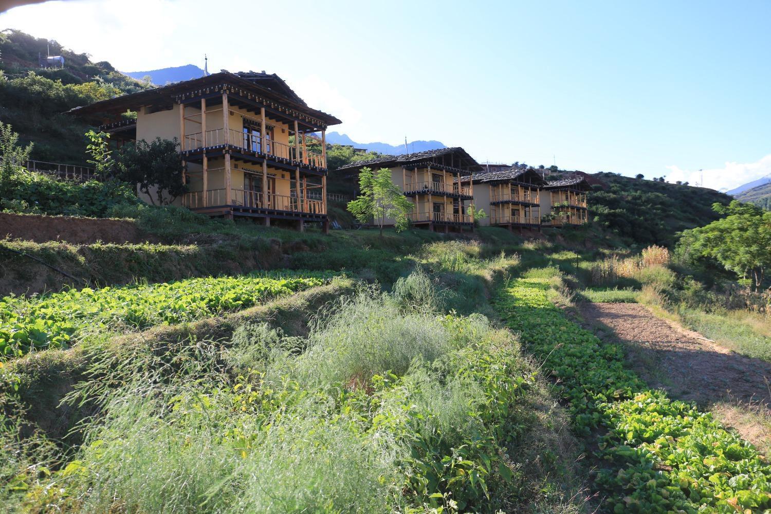 Wangdue Ecolodge Wangdue Phodrang Buitenkant foto