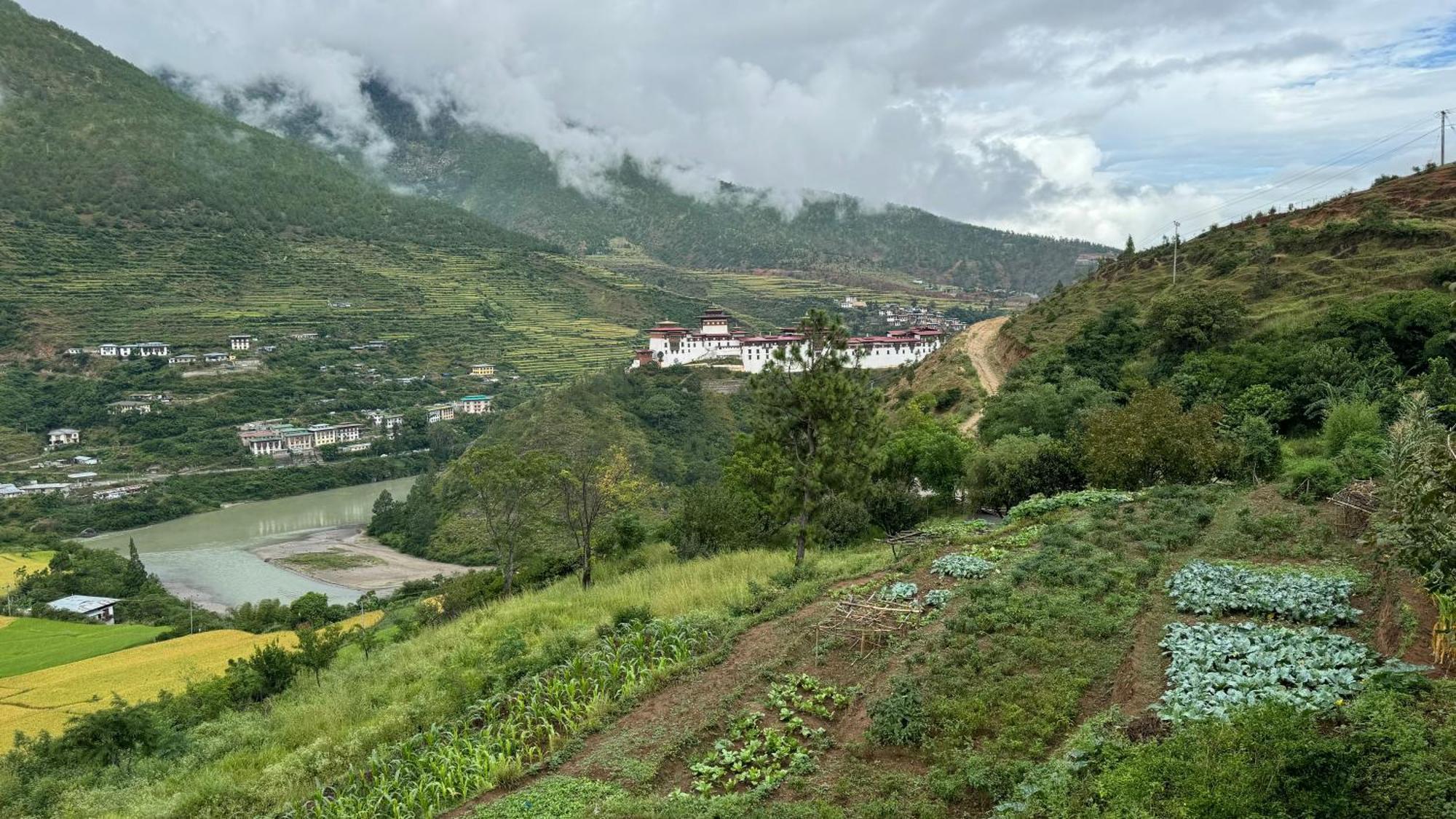 Wangdue Ecolodge Wangdue Phodrang Buitenkant foto