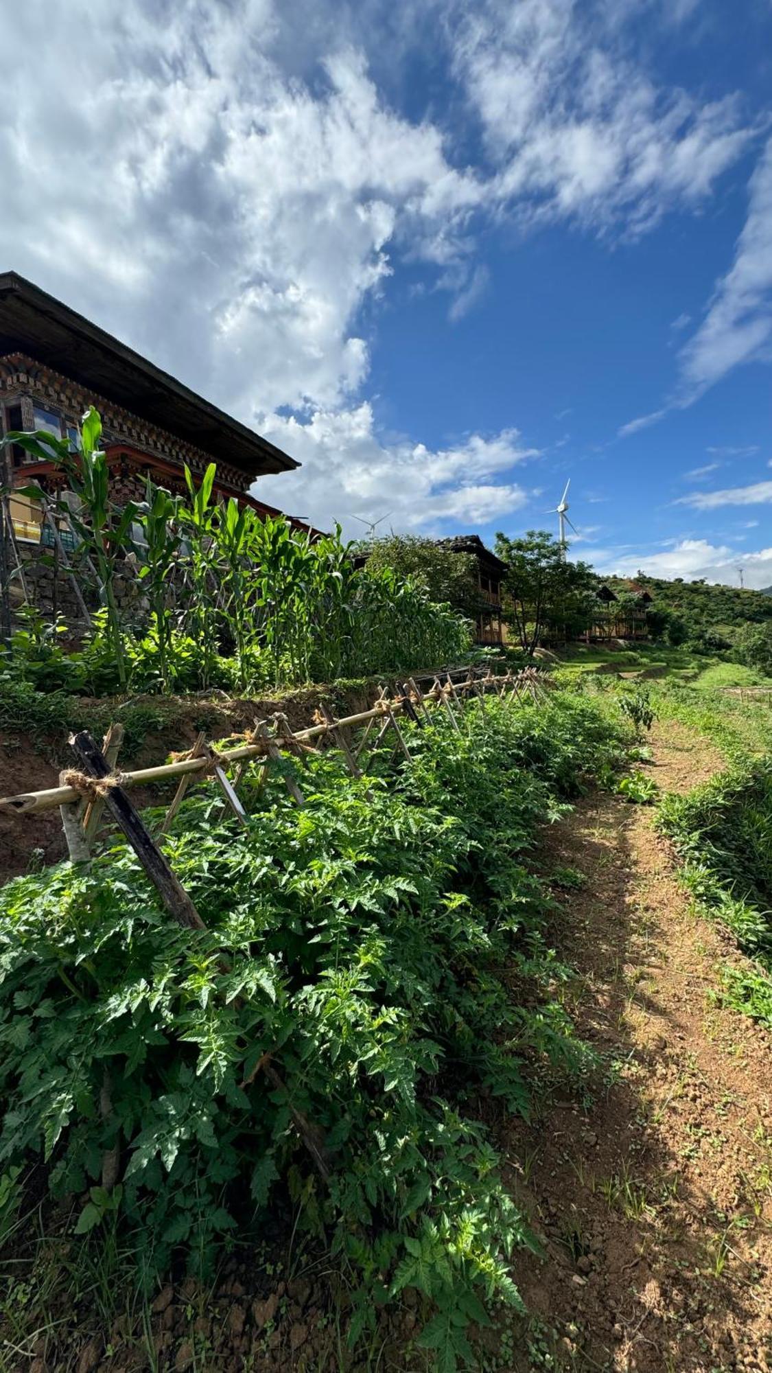 Wangdue Ecolodge Wangdue Phodrang Buitenkant foto